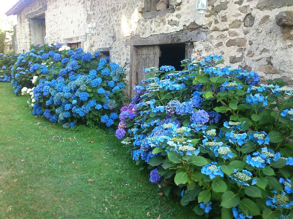 Bed and Breakfast Le Domaine De Panissac Berneuil  Exteriér fotografie